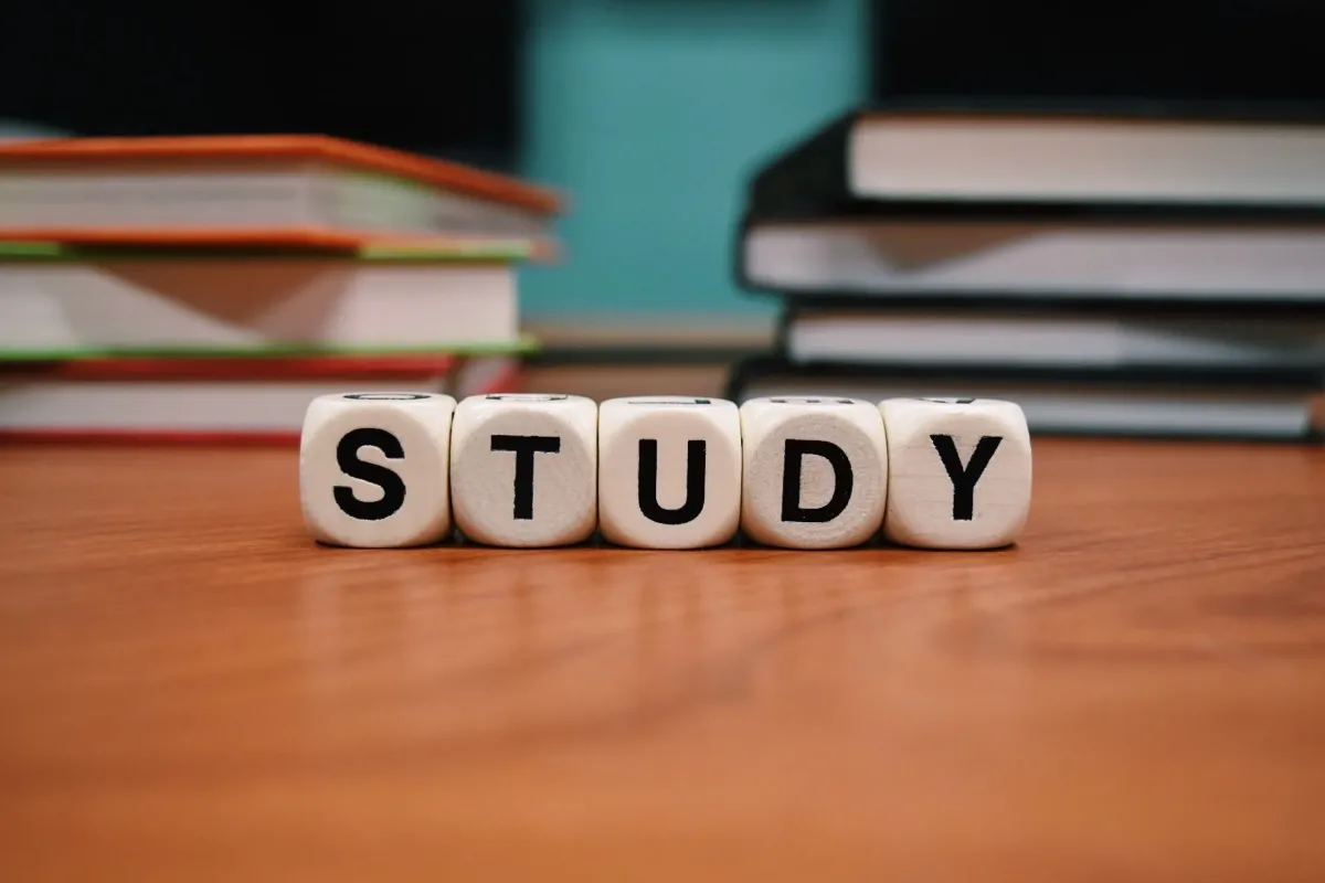 kurs czy studia
